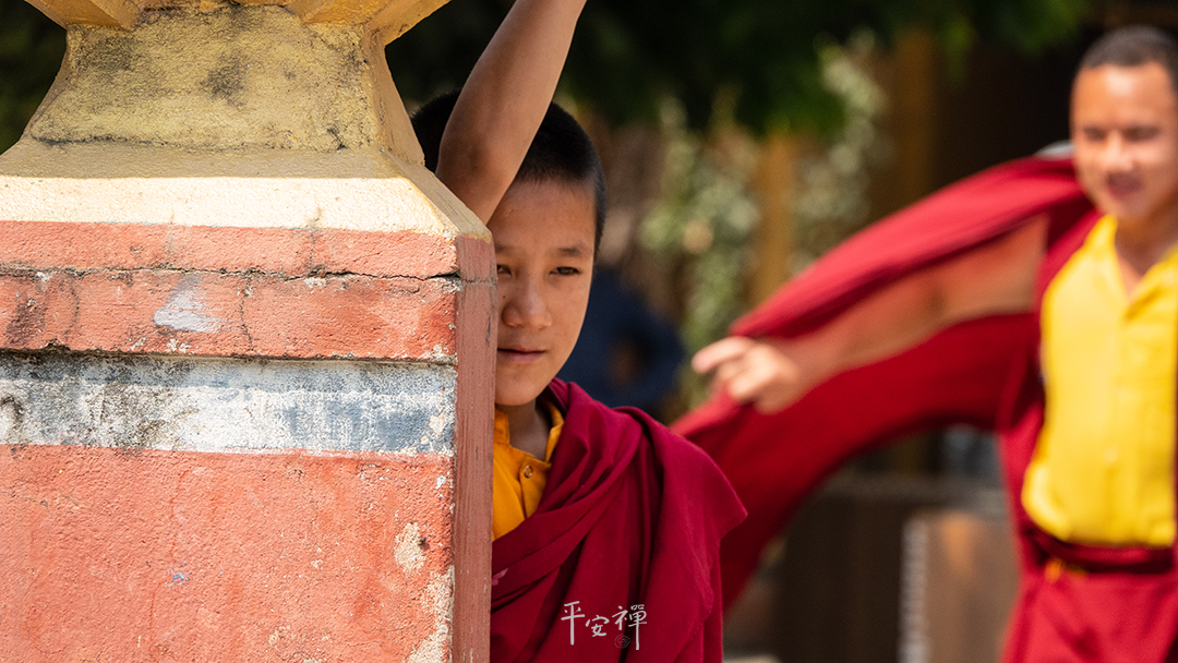 平安禪,靜坐,冥想,禪修,四步驟,覺知,坐禪,護關,法工,心道法師,樂活禪,斷食禪,禪友會,讀書會