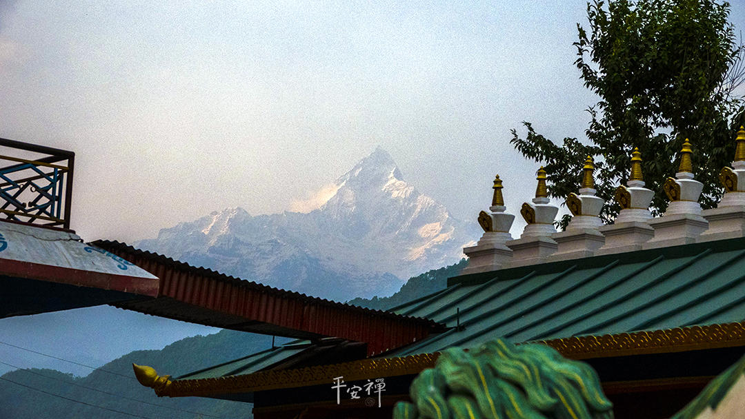 平安禪,靜坐,冥想,禪修,四步驟,覺知,坐禪,護關,法工,心道法師,樂活禪,斷食禪,禪友會,讀書會