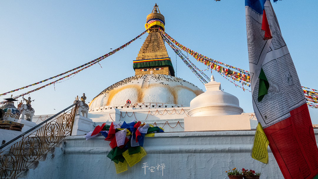 平安禪,靜坐,冥想,禪修,四步驟,覺知,坐禪,護關,法工,心道法師,樂活禪,斷食禪,禪友會,讀書會