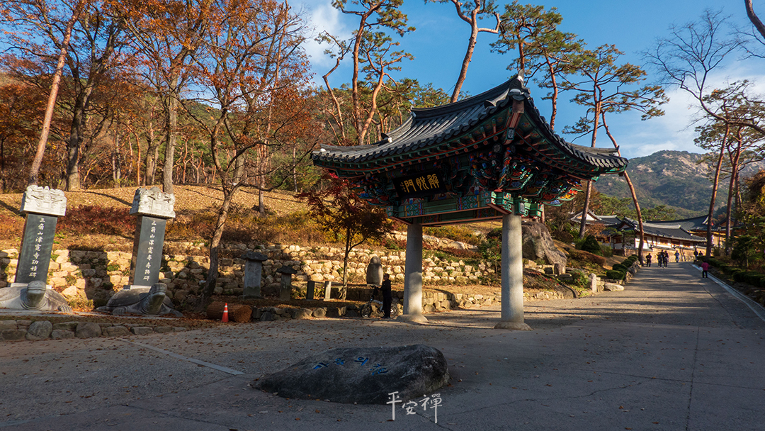 平安禪,靜坐,冥想,禪修,四步驟,覺知,坐禪,護關,法工,心道法師,樂活禪,斷食禪,禪友會,讀書會