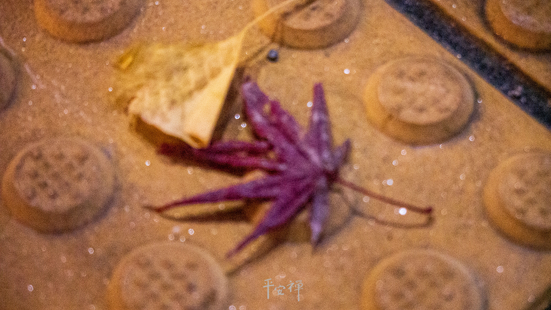 平安禪,靜坐,冥想,禪修,四步驟,覺知,坐禪,護關,法工,心道法師,樂活禪,斷食禪,禪友會,讀書會