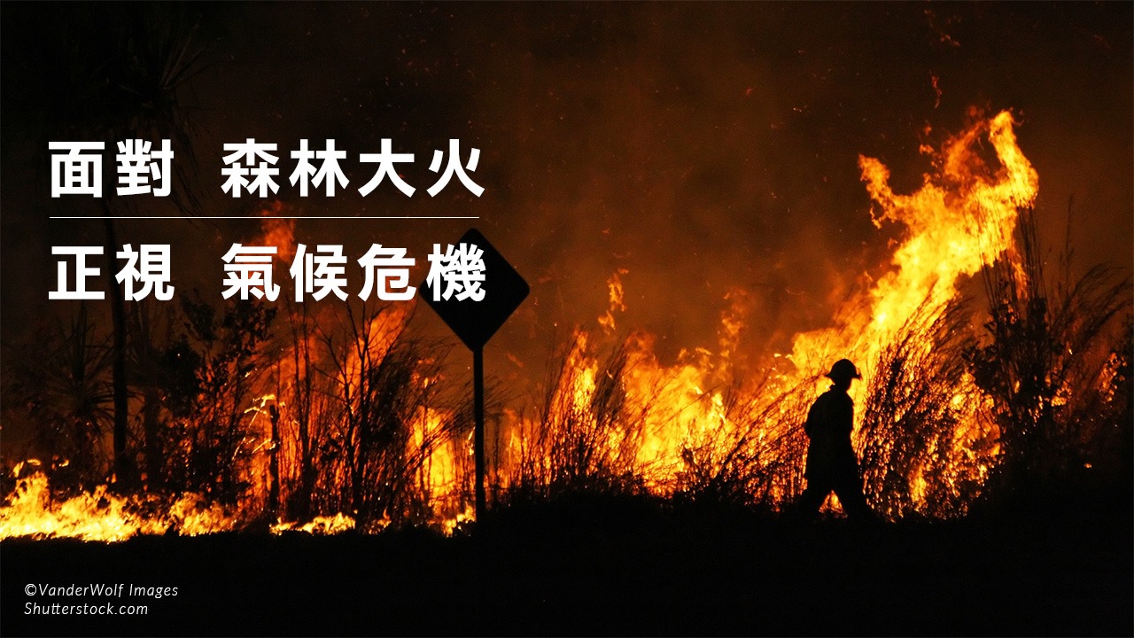 氣候乾燥,森林野火,澳洲,地球,生態環境,碳排放,平安禪,禪修,氣候變遷,宗教