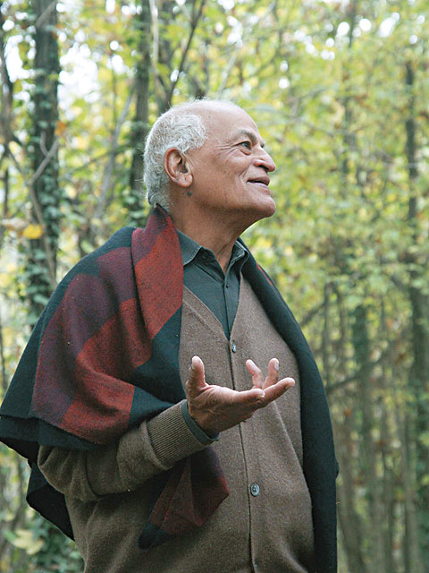 靈鷲山 平安禪 和平 慈悲 佛法 朝聖