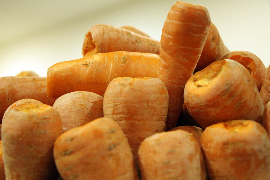 斷食禪修,歡喜志工,靈鷲山,桂子阿嬤,紅蘿蔔,靈鷲山