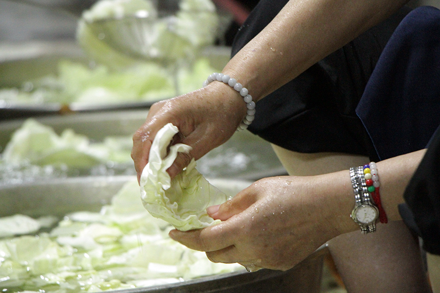 靈鷲山禪修，斷食基礎禪三