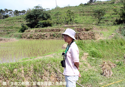 靈鷲山,貢寮,水梯田,福隆,核四,狸和禾小穀倉,林紋翠